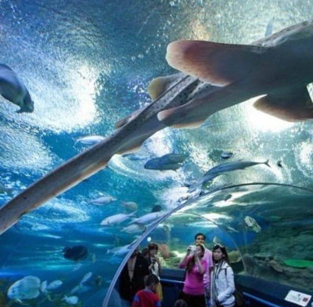 海底世界水族馆 Underwater World Langkawi