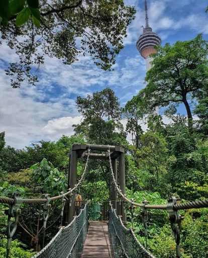 吉隆坡景点 - 咖啡山森林保护公园 Taman Eco Rimba KL