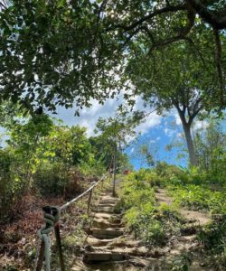 槟城 - 北笑山 Bukit Jambul Hiking Trail